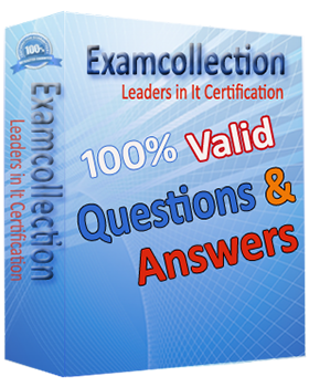SAP-C02 demo download